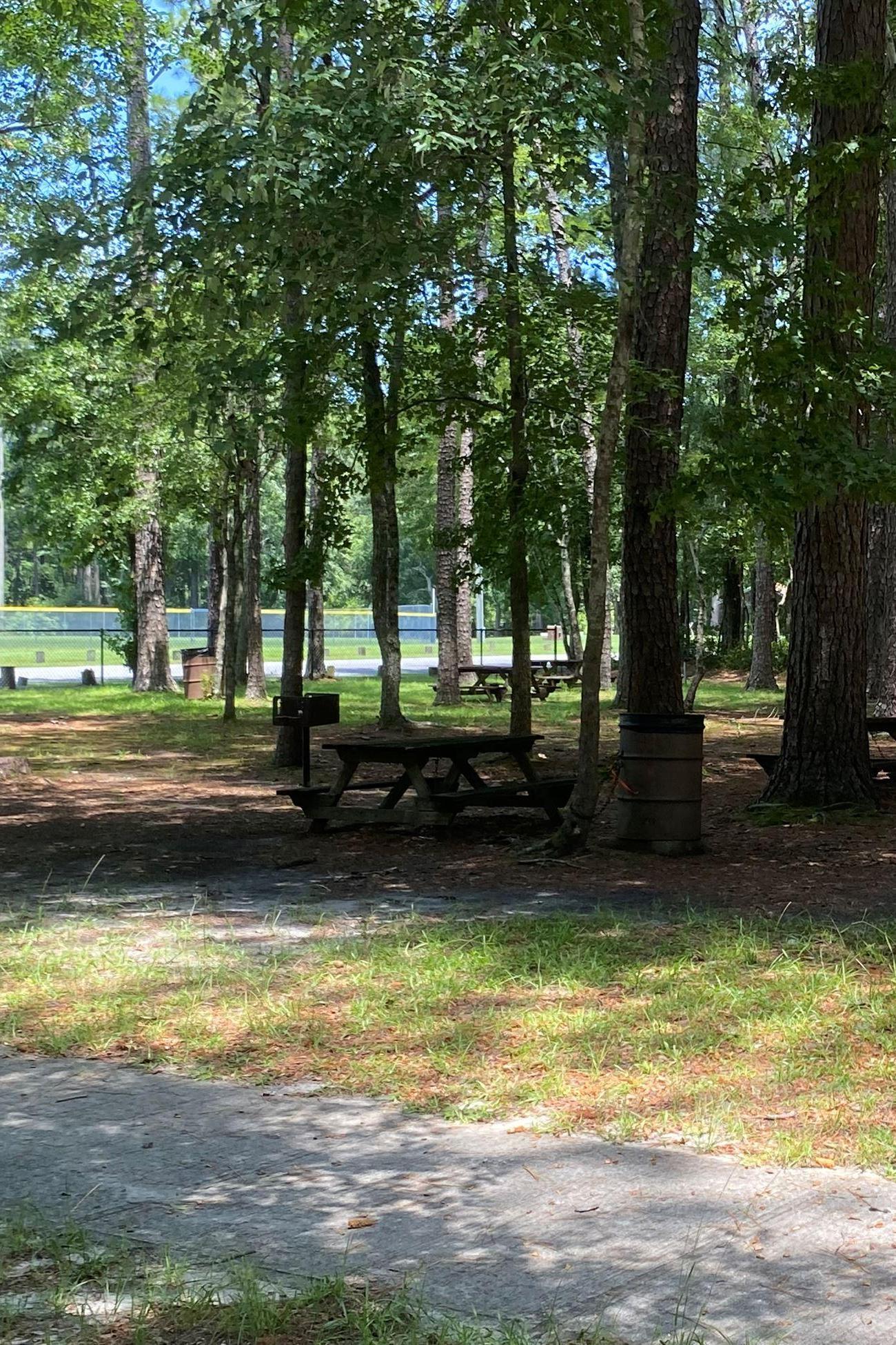 Onslow Pines Park